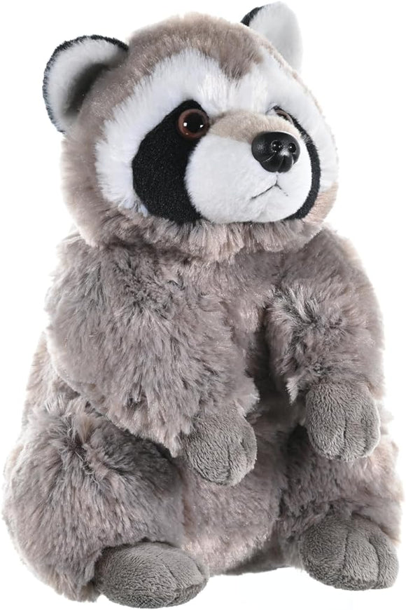 KM CUDDLEKINS RACCOON 12