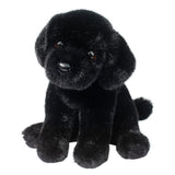 DCT FORD BLACK LAB