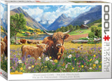 PZ 1000 EG HIGHLAND COWS LEANN KATE