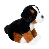 DCT SOFTIE BOWIE BERNESE MOUNTAIN DOG