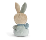 BKB ZIGGY BEAR BENJI 6"