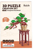 DIY MINI KIT BONSAI TREE EVERGREEN PINE
