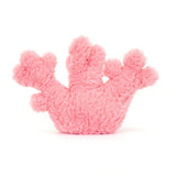 JC AMUSEABLE CORAL