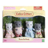 CC FAMILY GREY/WHITE PERSIAN CAT