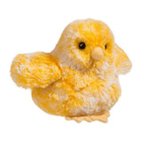 DCT CHICK ASSORTED