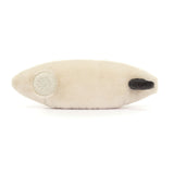 JC AMUSEABLE SPORTS SURFBOARD