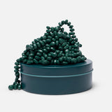 SPEKS 300 CRAGS MATTE JADE GREEN