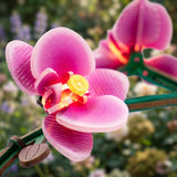 DIY MINI FLOWER KIT PURPLE ORCHID WITH LIGHTS