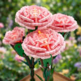 DIY MINI FLOWER KIT PINK CARNATIONS WITH LIGHTS