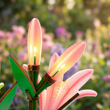 DIY MINI FLOWER KIT WHITE AND PINK LILIES WITH LIGHTS