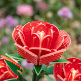 DIY MINI FLOWER KIT RED ROSES WITH LIGHTS