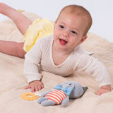 TAFTOYS CLARA ACTIVITY TOY