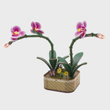 DIY MINI FLOWER KIT PURPLE ORCHID WITH LIGHTS