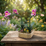 DIY MINI FLOWER KIT PURPLE ORCHID WITH LIGHTS