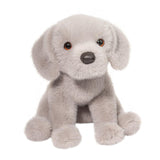 DCT ARGENTO SILVER LAB PUP