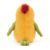 JC BUDGEBY PARROT