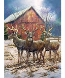 PZ 1000 CH THREE KINGS