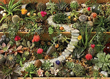 PZ 1000 CH SUCCULENT GARDEN