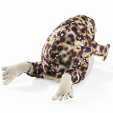 FM FP DESERT RAIN FROG