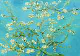 PZ 1000 ENJ VAN GOGH ALMOND BLOSSOM