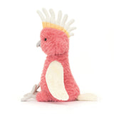 JC SQUAWKATOO