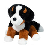 DCT SOFTIE BOWIE BERNESE MOUNTAIN DOG