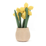 JC AMUSEABLE DAFFODIL POT 11"