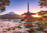 PZ 1000 RV MOUNT FUJI CHERRY BLOSSOM VIEW, JAPAN