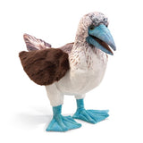 FM HP BLUE FOOTED BOOBY