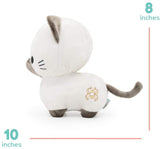 BELLZI SAMI THE SIAMESE CAT