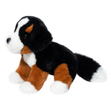 DCT SOFTIE BOWIE BERNESE MOUNTAIN DOG