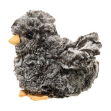 DCT CHICK ASSORTED