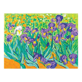 FABERC PAINT BY NUMBER IRISES