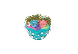 CFK MINI GARDEN AXOLOTL