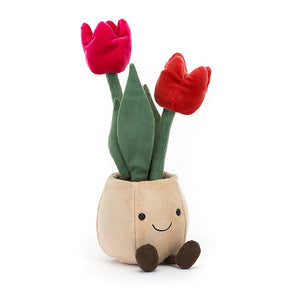 JC AMUSEABLE TULIP POT 12"