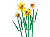 LEGO ICONS DAFFODILS NEW