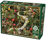 PZ 1000 CH SUCCULENT GARDEN