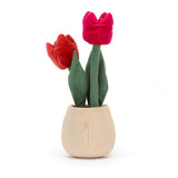 JC AMUSEABLE TULIP POT 12"