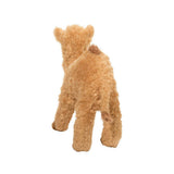 DCT LAWRENCE CAMEL