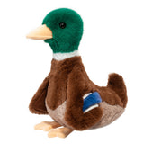 DCT SOFTIE DESIE MALARD DUCK