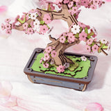 DIY MINI KIT BONSAI TREE CHERRY BLOSSOM