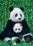PZ 1000 EG PANDA & BABY