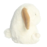 AUR ROLLY PET BOUNCY BUNNY 5"