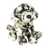 DCT MACKAY DALMATIAN