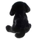 DCT FORD BLACK LAB