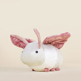 BELLZI MOTHI THE MOTH