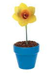 KLUTZ FABULOUS FLOWERS