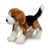 DCT BERNIE BEAGLE