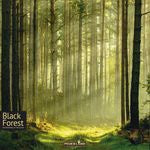 GM BLACK FOREST