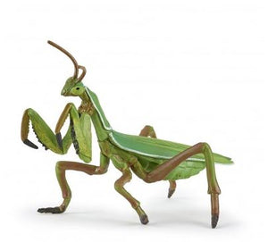 PAPO PRAYING MANTIS